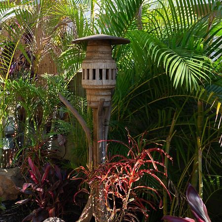 Plumeria Suite, 2-Bedrooms, Sleeps 6, Pool & Bbq, Pre-Renovation Summer Sale Kihei Zewnętrze zdjęcie
